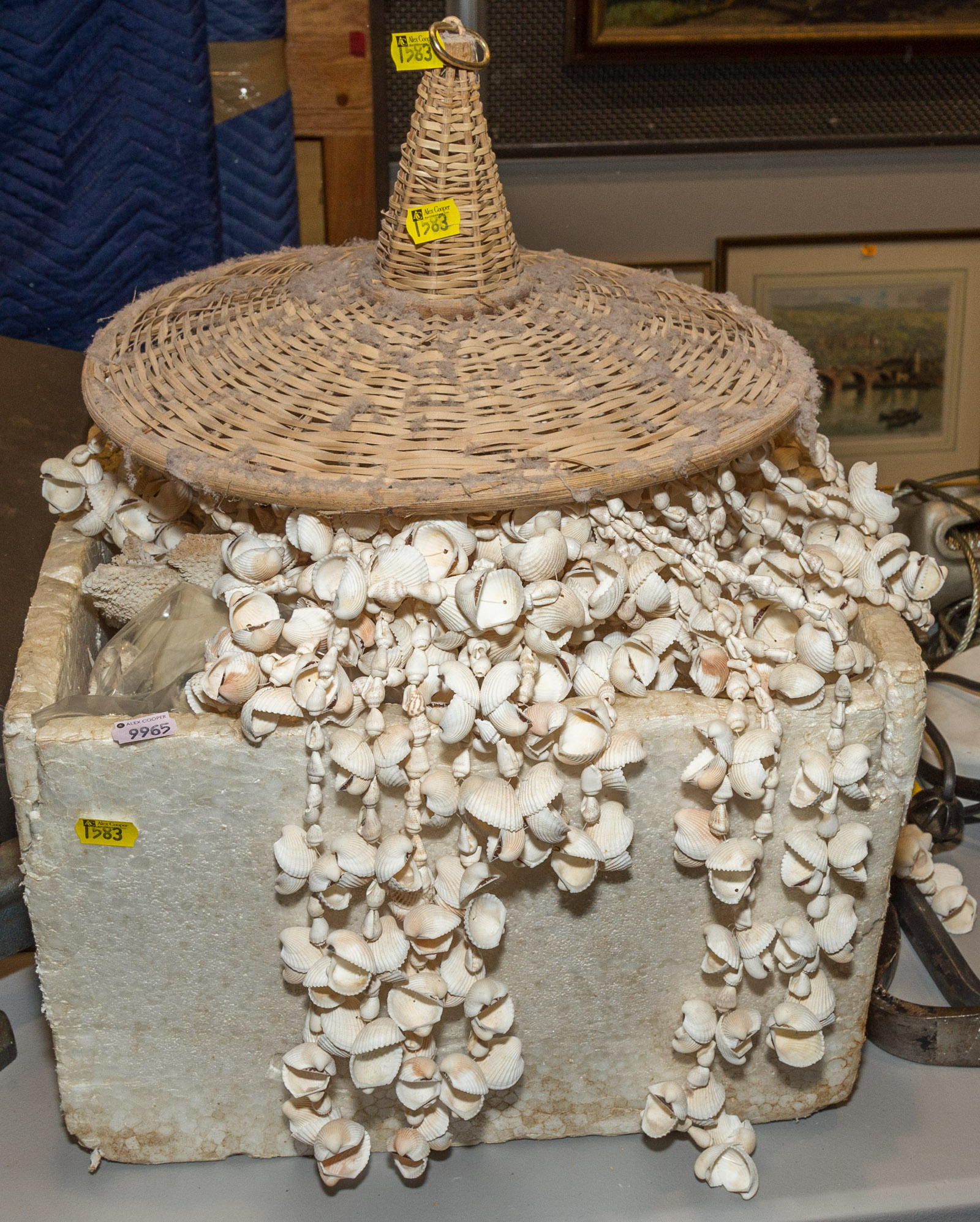 SHELLS, CORAL, & A SHELL HANGING