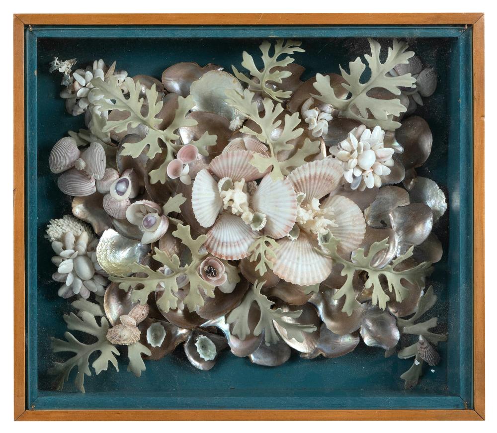 SHELLWORK IN A FLORAL AND FOLIATE