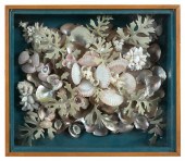 SHELLWORK IN A FLORAL AND FOLI
