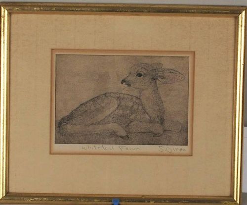 SHERIDAN OMAN "WHITETAIL FAWN"