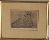SHERIDAN OMAN "WHITETAIL FAWN"