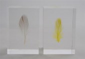 SHIRO KURAMATA: TWO FLOATING F