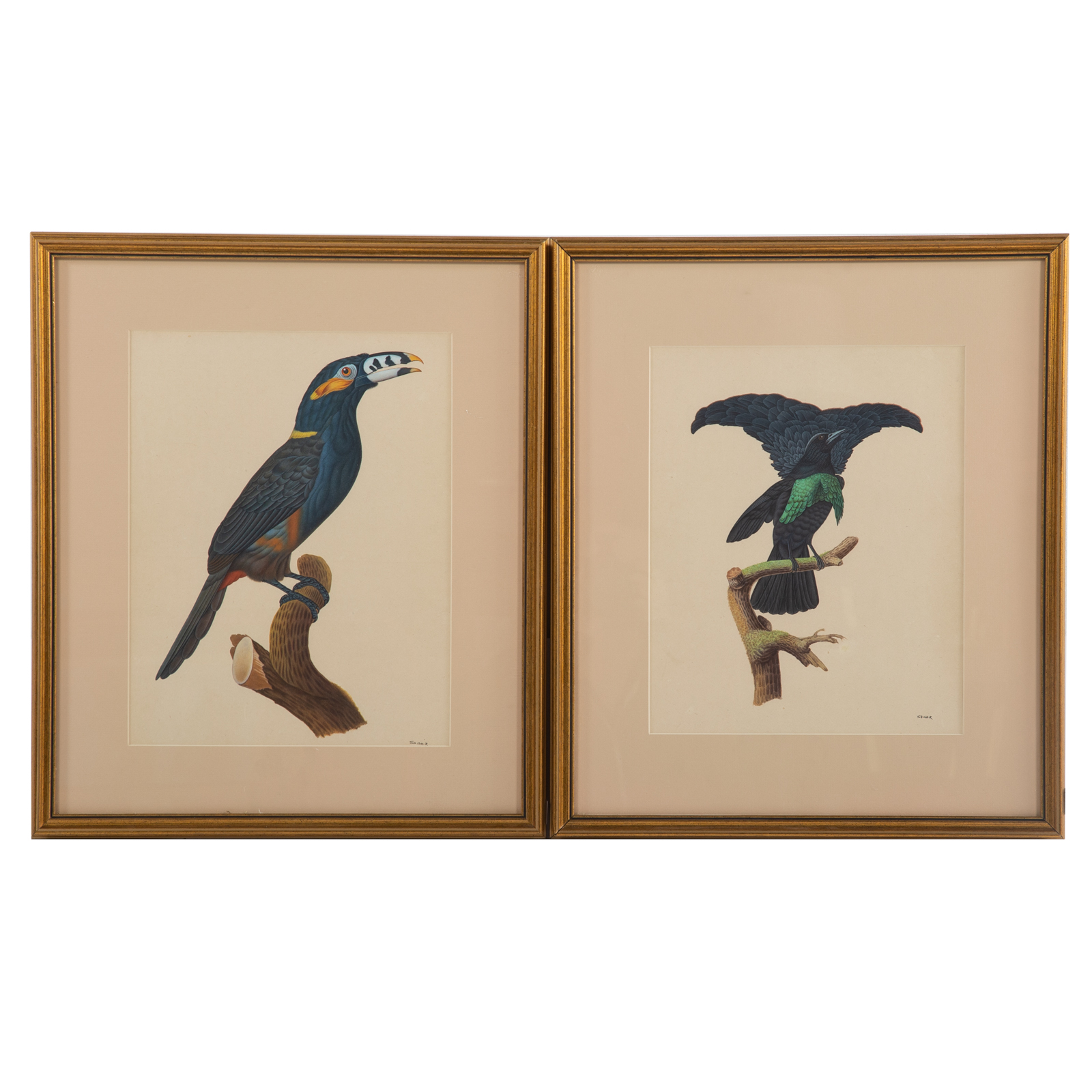 SHISHIR BHATT. A PAIR OF