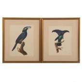 SHISHIR BHATT. A PAIR OF ORNIT
