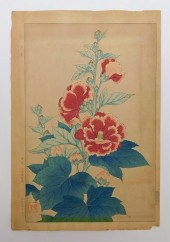 SHODO KAWARAZAKI HOLLYHOCK WOO
