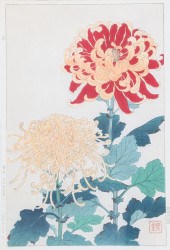 Shodo Kawarazaki (Japanese, 18