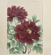 SHOSON OHARA, KOSON (1877-1945