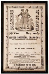 SIAMESE TWINS: THE UNITED BROT