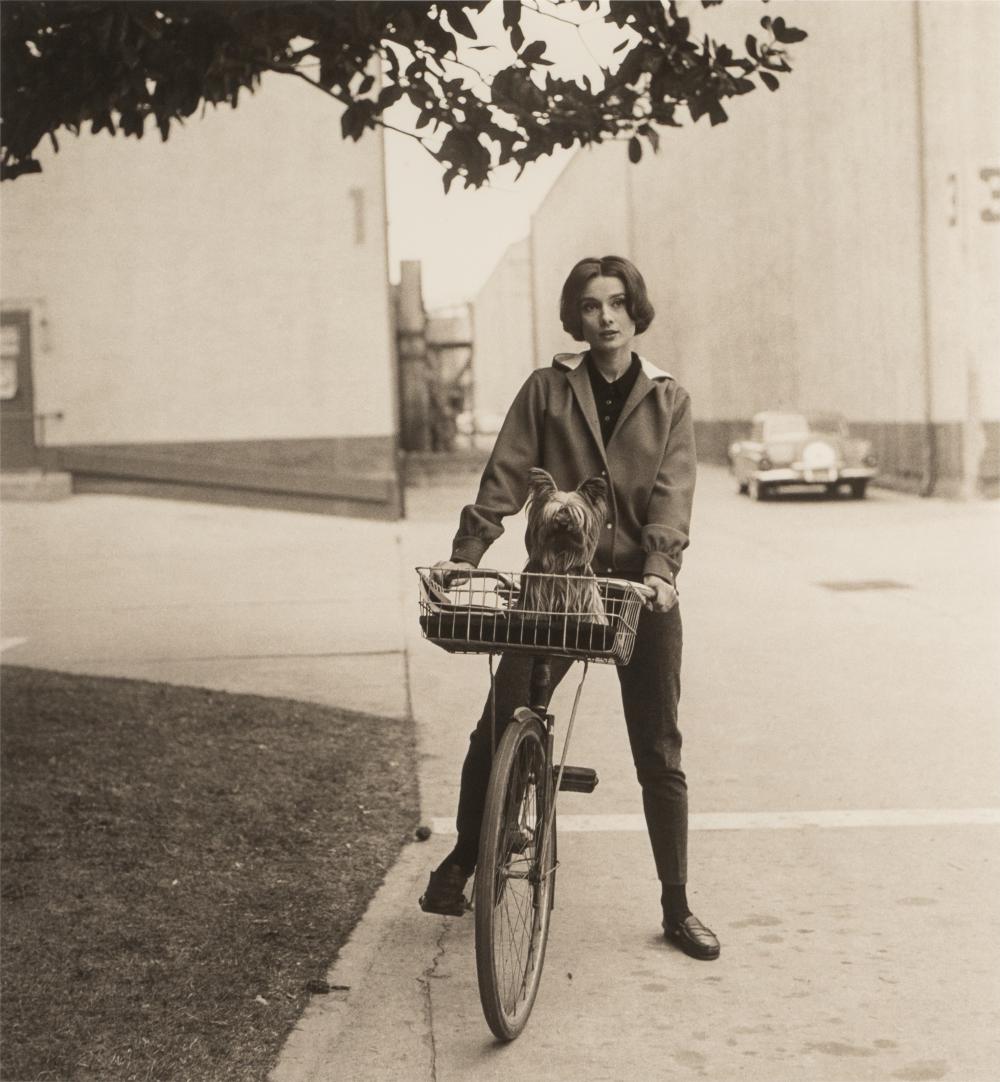 SID AVERY (1918-2002): AUDREY