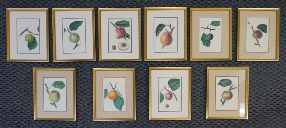SIDNEY WATTS, SET OF TEN COLOR