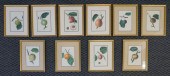 SIDNEY WATTS, SET OF TEN COLOR