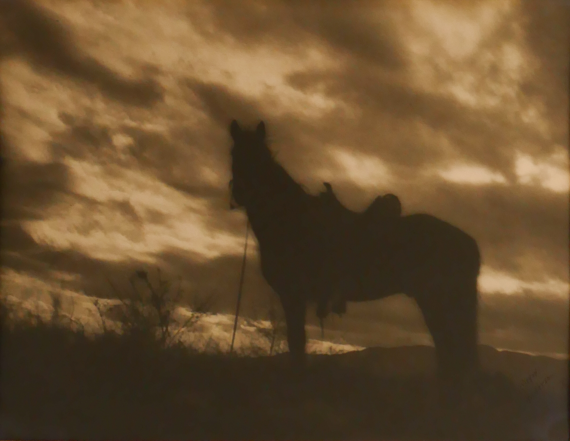 Signed Anderson Horse Sepia