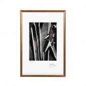 SIGNED ANSEL ADAMS "MADRONE BA