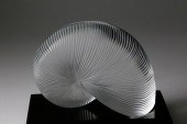SIGNED BACCARAT CRYSTAL NAUTIL