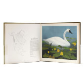 SIGNED LIMITED EDITION OF ZIMM