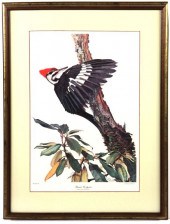 Signed Print by Sallie Middlet