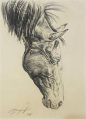 SIGNED STUDY OF A HORSE&#039;S