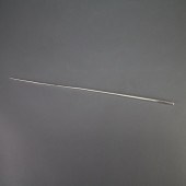Silver Conductor??Ts Baton 196