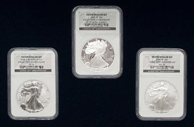 Silver eagle one-ounce coins, set