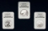 Silver eagle one-ounce coins,