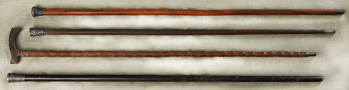 Silver tip presentation cane