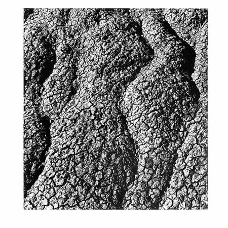 SISKIND, AARON (1903-1991) Bad