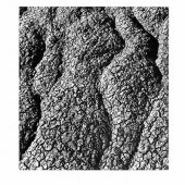 SISKIND, AARON (1903-1991) Bad