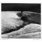 SISKIND, AARON (1903-1991) Cal