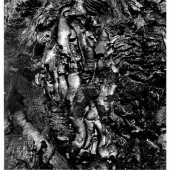 SISKIND, AARON (1903-1991) Vol