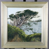 SITKA SPRUCE, ORIGINAL RAMONA