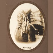 Sitting Bull Photograph by D.F