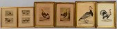 SIX 18TH & 19TH CENT. FOWL PRI