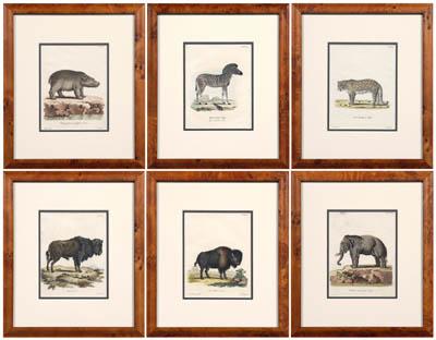 Six animal prints, Schreiber