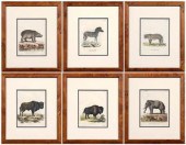 Six animal prints, Schreiber (