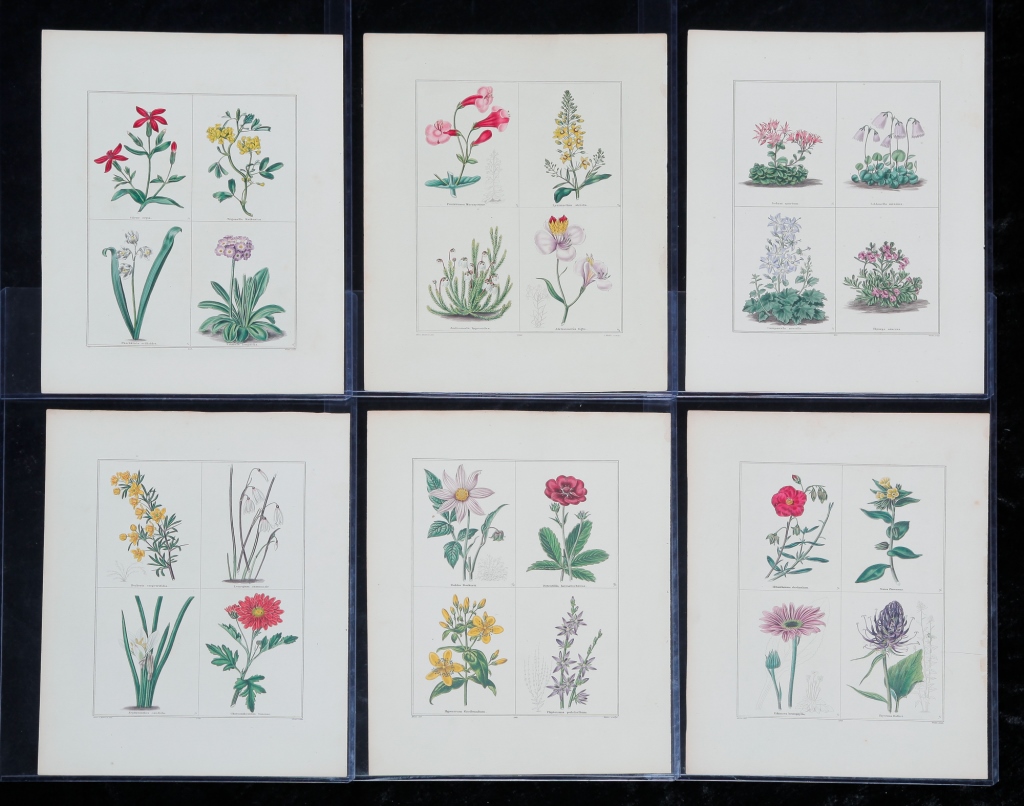 SIX BENJAMIN MAUND ENGRAVINGS.