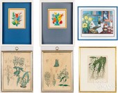 SIX BOTANICAL AND STILL LIFE W