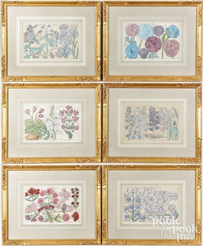 SIX BOTANICAL ENGRAVINGSSet of