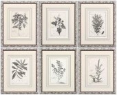 Six botanical prints, Pierre B