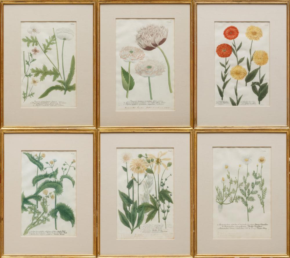 SIX BOTANICAL PRINTSAntique
