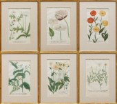 SIX BOTANICAL PRINTSAntique Bo