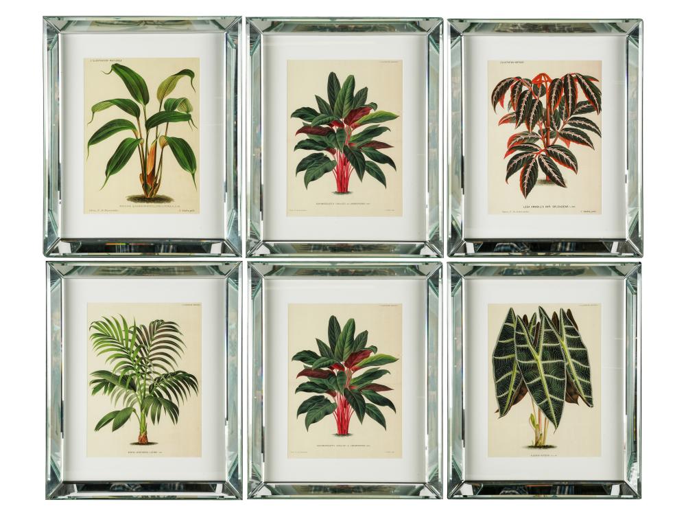 SIX BOTANICAL PRINTScomprising: