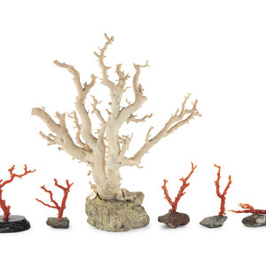 Six Chinese Coral Branches each