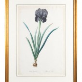 Six Colored Botanical Engravin