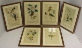 SIX COLORED LITHOGRAPHS AFTER