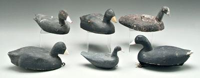 Six coot duck decoys: cork and wood