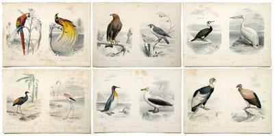 Six Edouard Travies prints (French,