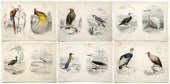 Six Edouard Travies prints (Fr