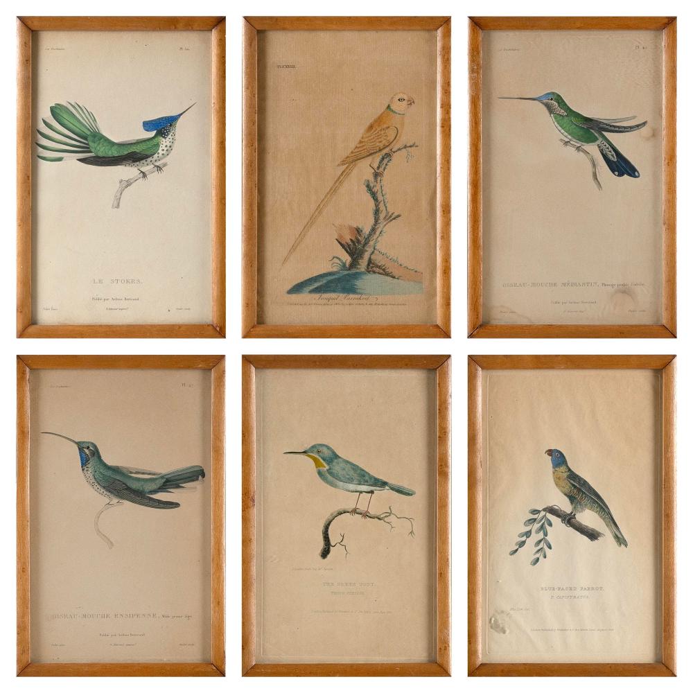 SIX ENGLISH AND FRENCH BIRD