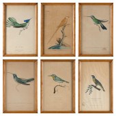 SIX ENGLISH AND FRENCH BIRD PR