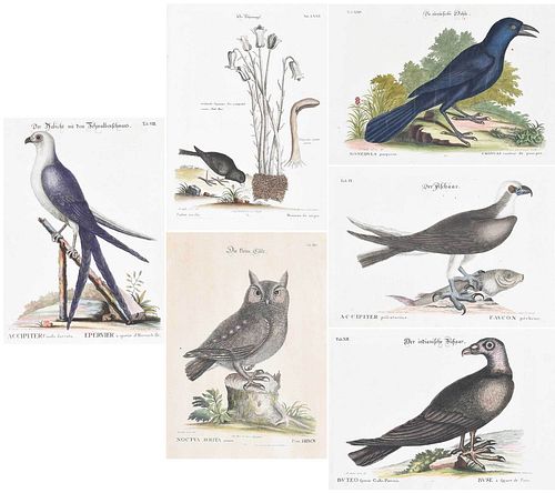SIX ENGRAVINGS AFTER MARK